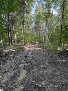 0000 Hjelte Road, Kewadin, Мичиган 49648, Соединенные Штаты