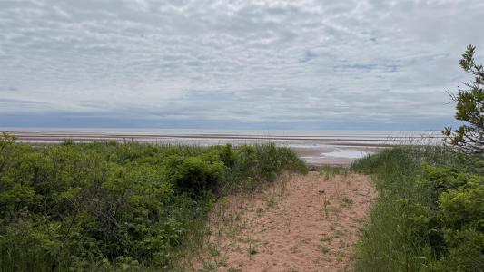 1069 RTE 10, Augustine Cove, Prince Edward Island C0B 1X0, Canada