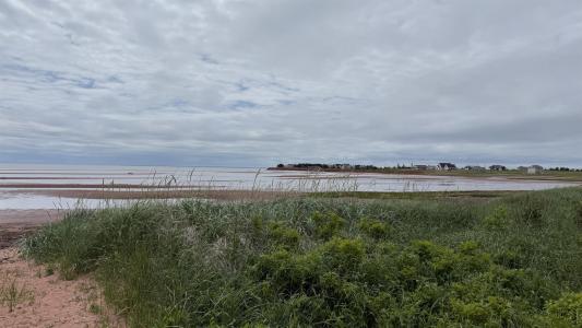 1069 RTE 10, Augustine Cove, Prince Edward Island C0B 1X0, Canada