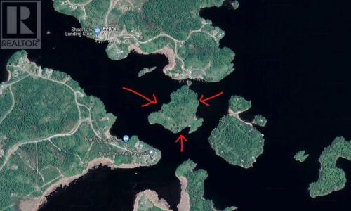 JO185 SHOAL LAKE, LAKE OF THE WOODS, Kejick, オンタリオ P0X 1E0, カナダ