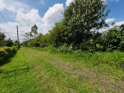 San Ramón San Ramón, Alajuela 21007, Costa Rica