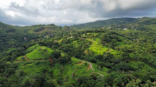 Sámara Nicoya, Guanacaste 50204, 哥斯达黎加