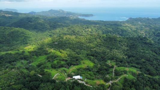 Sámara Nicoya, Guanacaste 50204, Costa Rica