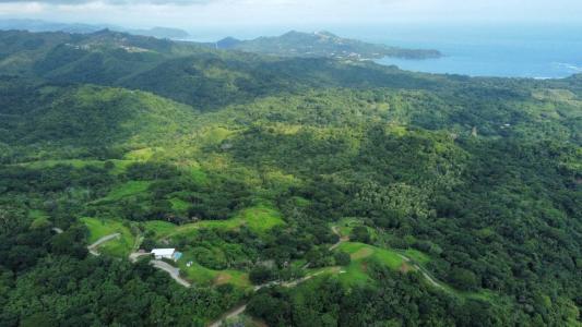 Sámara Nicoya, Guanacaste 50204, 哥斯达黎加