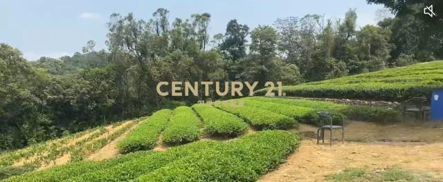 北坑段, 龍潭區, تاويوان مدينة 325, تايوان