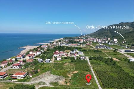 Ordu, 52000, Turkey