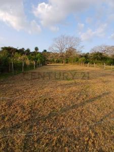 Juan José Cue , Atyra, Cordillera 00001, Le Paraguay