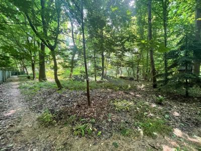 adres kantoor 3, Lettelingen, Belgium