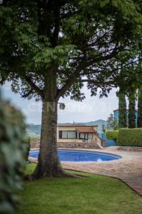 Loma Alta , Villas Lomas 16,, Ixtlahuacan De Los Membrillos, Jalisco 45850, México