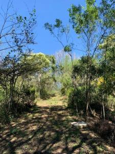 Rancho La Palma 4,, Xalapa, 韦拉克鲁斯 91002, 墨西哥