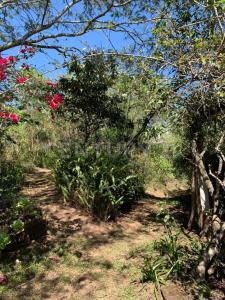 Rancho La Palma 4,, Xalapa, 韦拉克鲁斯 91002, 墨西哥