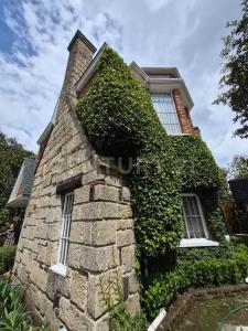 Boulevard de la Torre 395,, Atizapán De Zaragoza, Estado De México 52938, Mexico