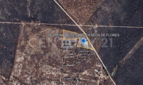 Ciénega De Flores, Nuevo León 65550, México