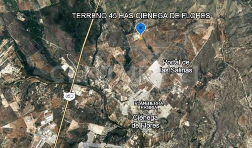 Ciénega De Flores, Nuevo León 65550, México