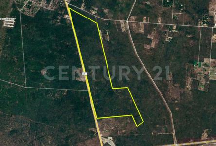 Hunucma, Yucatan 97350, Mexico