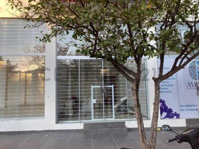 Moto Méndez, Tarija 00001, Bolívia