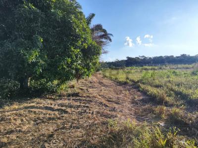 Urubo, Santa Cruz 591, Bolivia