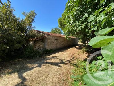 St Pierre D Oleron, Poitou-Charentes 17310, France