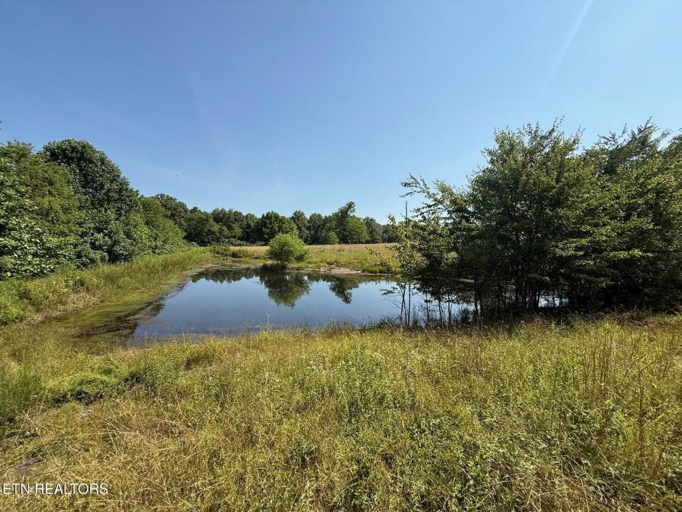 Lockwood Myers Rd, Sparta, Tennessee 38583, Estados Unidos