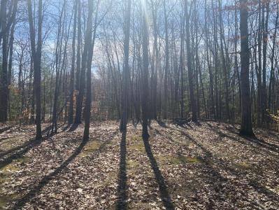 9019 John Street, Mecosta, Michigan 49332