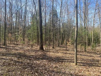 9019 John Street, Mecosta, Michigan 49332
