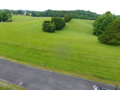17 Lots Parks Ridge Subdivision Rd, Russell Springs, Kentucky 42642, Estados Unidos