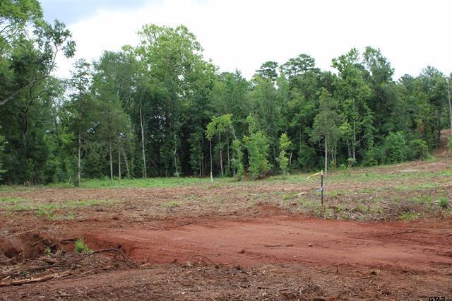 TBD CR 4118 Lot 2 - Greenwood, Jacksonville, Texas 75766, Estados Unidos