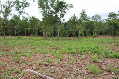 TBD CR 4118 Lot 2 - Greenwood, Jacksonville, Texas 75766, Estados Unidos