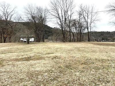 990 N Riverview Lane, Mountain View, Arkansas 72560, HOA KỲ