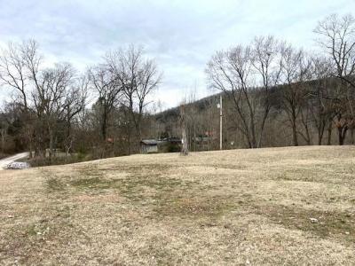 990 N Riverview Lane, Mountain View, Arkansas 72560, HOA KỲ