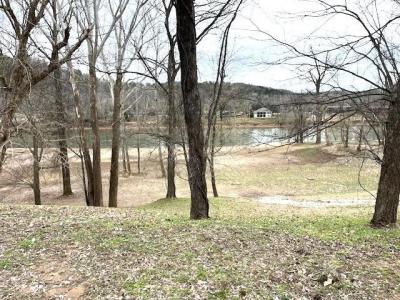 990 N Riverview Lane, Mountain View, Arkansas 72560, HOA KỲ