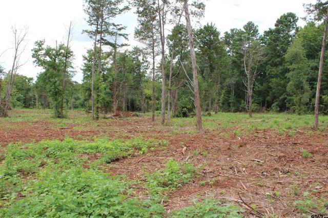 TBD CR 4118 Lot 1 - Greenwood, Jacksonville, Texas 75766, Estados Unidos