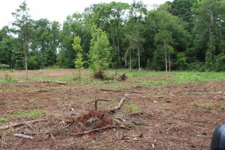 TBD CR 4118 Lot 1 - Greenwood, Jacksonville, Texas 75766, Estados Unidos