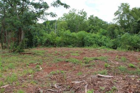 TBD CR 4118 Lot 1 - Greenwood, Jacksonville, Texas 75766, Estados Unidos