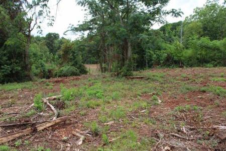 TBD CR 4118 Lot 1 - Greenwood, Jacksonville, Texas 75766, Estados Unidos