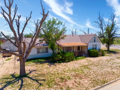 323 L. Street, Carlsbad, NM 88220, USA