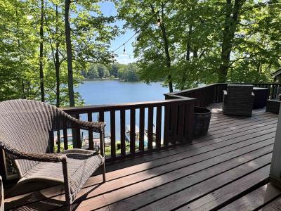 7851 White Birch, Farwell, Michigan 48622, Amerika Birleşik Devletleri