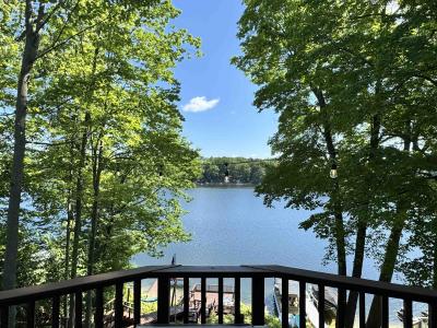 7851 White Birch, Farwell, Michigan 48622, USA