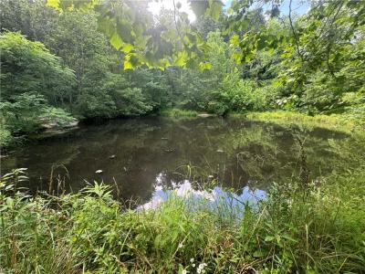 20920 County Rd 9, New Matamoras, Ohio 45767, Estados Unidos