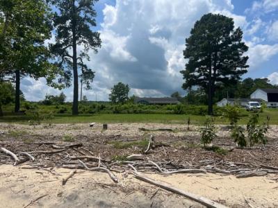 933 Pleasant Point Rd, Surry, Virginia 23883, Amerika Birleşik Devletleri
