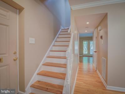 514 S Henry Street, Alexandria, Virginia 22314, Estados Unidos