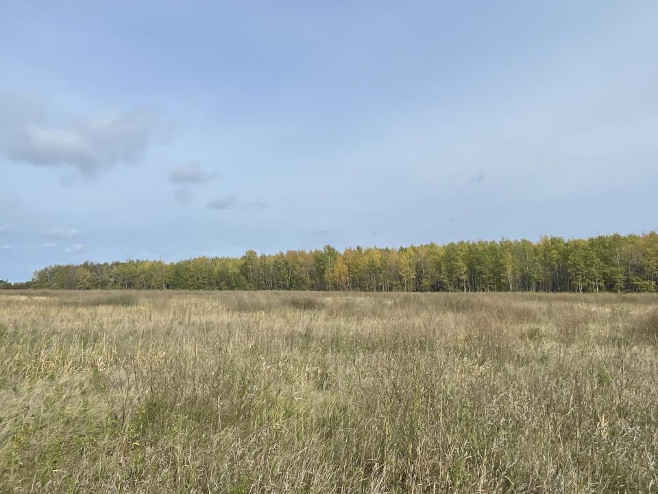 15904 Shoreline Dr NE, Waskish, Minnesota 56685, États-Unis