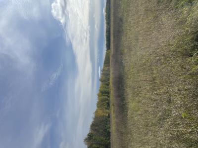 15904 Shoreline Dr NE, Waskish, Minnesota 56685, États-Unis