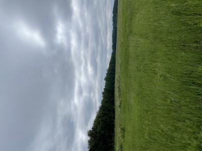 15904 Shoreline Dr NE, Waskish, Minnesota 56685, États-Unis