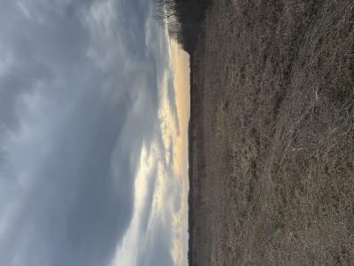 15904 Shoreline Dr NE, Waskish, Minnesota 56685, États-Unis