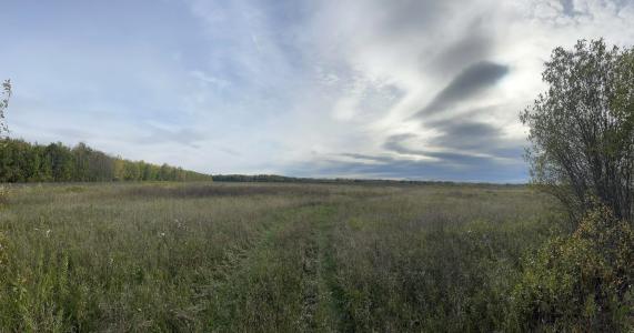 15904 Shoreline Dr NE, Waskish, Minnesota 56685, États-Unis