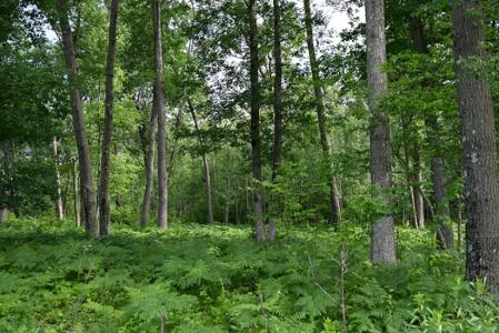 8887 Fosberg Rd, Siren, Wisconsin 54872, USA