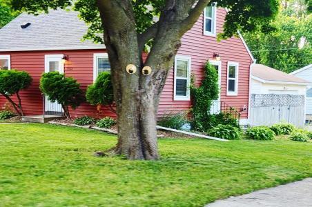 1302 W Clark Street, Albert Lea, Minnesota 56007, États-Unis