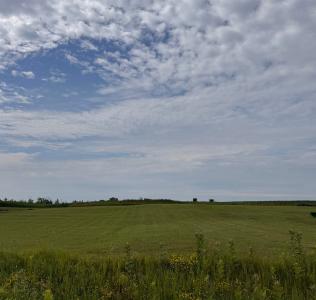 Lot 14 Willow Bay, Gladwin, 密西根州 48624, 美國