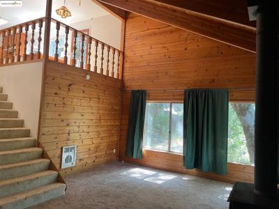23282 Bluebird Hill, Twain Harte, 加利福尼亚州 95383, 美国